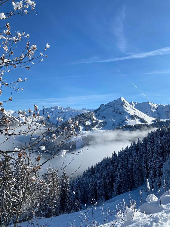 Hotel Rhodos Morzine Avoriaz Eksteriør bilde